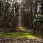 Angrenzende Fläche zur Rodungsfläche die in Mitleidenschaft gezogen würde